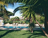 Villa in Saint-Tropez mit Pool und Palmen davor, Sommer, Sonne