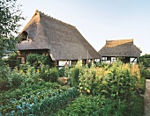 Bauernhaus mit Bauerngarten in Deutschland, Sommer, Reetdach