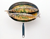 Fisch braten, Step, 2 Fische ganz mit Kräutern in ovaler Pfanne, braun