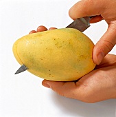 Buch der Exoten, Gelbe Mango in Hand halbieren, Messer, Step