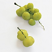 Green gooseberries on white background