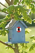 Vogelhäuschen, blaues Vogelhaus, "Rot-Blau", Nistkasten, Rettungsring