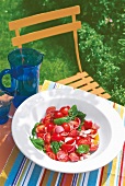 Tomatensalat mit Basilikum und roten Zwiebeln, serviert im Garten
