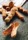 Close-up of tamarind bulbs