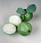 Buch der Exoten, Guaven, rund, grün, weißes Fruchtfleisch, runzlig