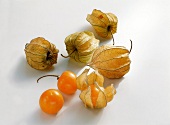 Buch der Exoten, Physalis, orange, Hülle, hellbraun