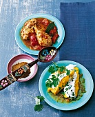 Chicken with tomato and fish on plates, Bengal Art on wooden spoon