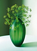 Bauchige Vase mit Blütendolde vom Fenchel