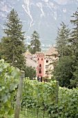 Tiefenbrunner - Schlosskellerei Turmhof Weingut in Kurtatsch Cortaccia Trentino Südtirol