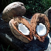 Das große Buch der Desserts: Kokosnüsse mit Schale, Kerne