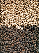 Close-up of black and white peppercorns