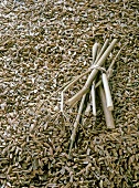 Close-up of dried fennel seeds