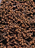 Close-up of dried cloves