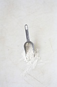 Shovel with flour