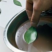 Close-up of hand placing leaf on chocolate icing, step 1