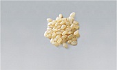 Reis, Rundkornreis, gelb, roh, gekocht, USA, "Brown short grain"