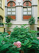 Hotel "Dixseptième" in Brüssel, Innenhof, Fenster, Pflanzen