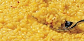 Close-up of yellow round grain rice with fork