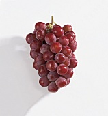 Bunch of giant red grapes on white background