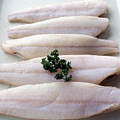 Fisch,  Glattschollenfilets, roh