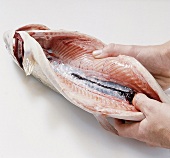 Fisch,  Step : Niere aus Fisch entfernen