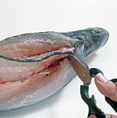 Fisch,  Step 5: Mittelgräte am Kopf abschneiden