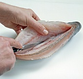 Fisch,  Step 3: Rückgrad frei- legen