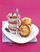 Muffins, Heidelbeer-Muffins und Limetten-Muffins auf Teller, pink