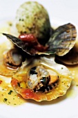 Close-up of cooked scallops in Anice Stellato restaurant, Venice, Italy