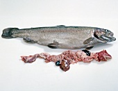 Fisch,  Step 5: Lachsforelle u. entnommeme Eingeweide