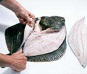 Close-up of hand lifting lower fillet on white background, step 7