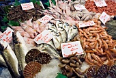 Various types of fish and seafood with price tags in market, Venice