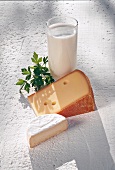 Buch vom Käse, 2 versch. Käsesorten, Glas Milch, Petersilie