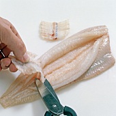 Close-up of hand cutting backbone of fish with scissors, step 7