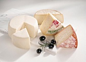 Buch vom Käse, 4 versch. Käsesorten auf Marmorplatte, Oliven