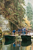 Holzsteg mit Touristen und Boote an Kirnitzsch, Sachsen