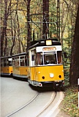 Kirnitzschtalbahn nach Bad Schandau fährt durch Wald, gelb, Sachsen