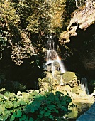 Künstlicher Wasserfall im Wald, Sachsen, Lichtenhain