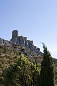 Festung Quéribus am Berghang, Frankreich, Himmel blau