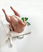 Close-up of turkey on white board with knife