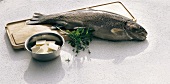 Fisch,  Lachsforelle, Butter u. Kräuter