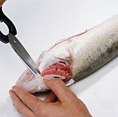 Fisch, Step 10: Kiemen mit Schere abschneiden