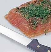 Close-up of pickled salmon trout fillet with dill and herbs