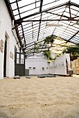 Greenhouse gallery with picture frames on wall, Dresden, Germany