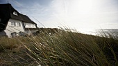 Sylt: Reetdachhaus an der Küste, Gras, Hotel Söl'ring Hof