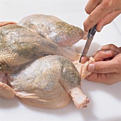 Buch vom Geflügel, Step 6: Hühnerhaut m. Messer einstechen