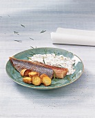 Fisch - Matjes mit Tsatsiki und Kartoffeln auf Teller