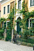 Fassade mit Rosen im Villenviertel Loschwitz in Dresden