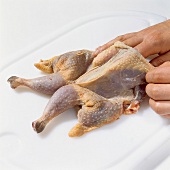 Buch vom Geflügel, Step 4: Haut m. Fingern vom Huhn lösen