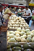 People buying cantaloupe charentais melons in wooden boxes at market